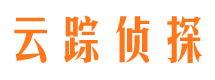 大悟市私家侦探